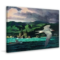 Marmont Hill Terns in Flight Slikački tisak na omotanom platnu