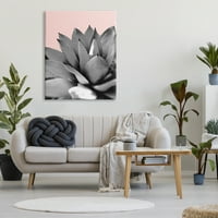 Stupell Industries Moderna sočna fotografija Crna bijela biljka preko ružičaste, 48, dizajn Kali Wilson
