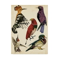 Zaštitni znak likovna umjetnost 'zbirka ptica ii' platno umjetnost Melissa Wang