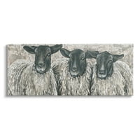 Stupell Industries Tri ovčje trio seoska farma portreta za životinje portret zamotana platno tiskana zidna umjetnost,