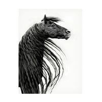 PhBurchett 'Crno -bijeli konji portret II' platno umjetnost