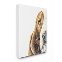 Stupell Industries Slatka velika pseća glava Basset Hound Pet Animal Aquecolor slikanje platna zidna umjetnost George