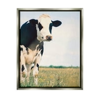 Fotografija krava na seoskoj farmi fotografija životinja i insekata Sivi plovak uokvireni umjetnički tisak zidna