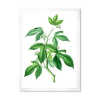 DesignArt 'Drevni zeleni lišće biljke v' tradicionalni uokvireni umjetnički tisak
