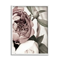 Cvjetajući bodovni cvjetni pupoljci Botanička i cvjetna fotografija bijela uokvirena umjetnička print zidna umjetnost