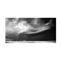 Slika roba Darbieja progoni oluju na platnu