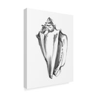 Zaštitni znak likovne umjetnosti 'Skica Shell I' Canvas Art by Ethan Harper