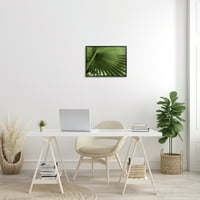 Stupell Industries izblizana palminog lista bujne zelene tropske biljke fotografija crna uokvirena umjetnička print